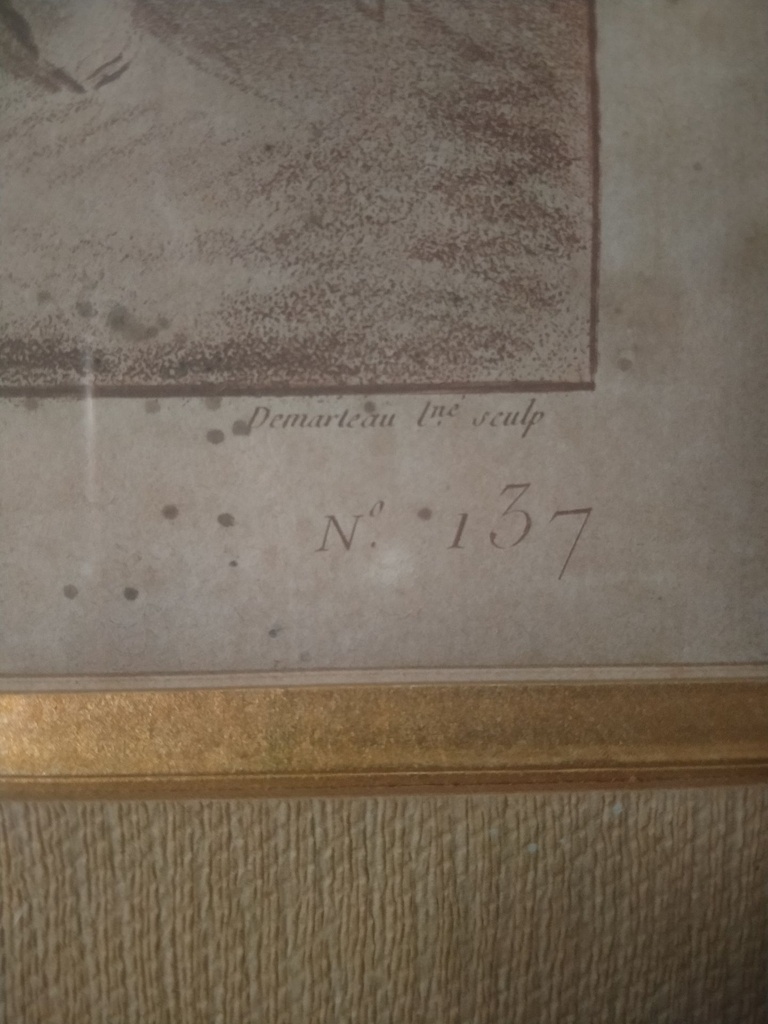 IMG20230613170043.jpg