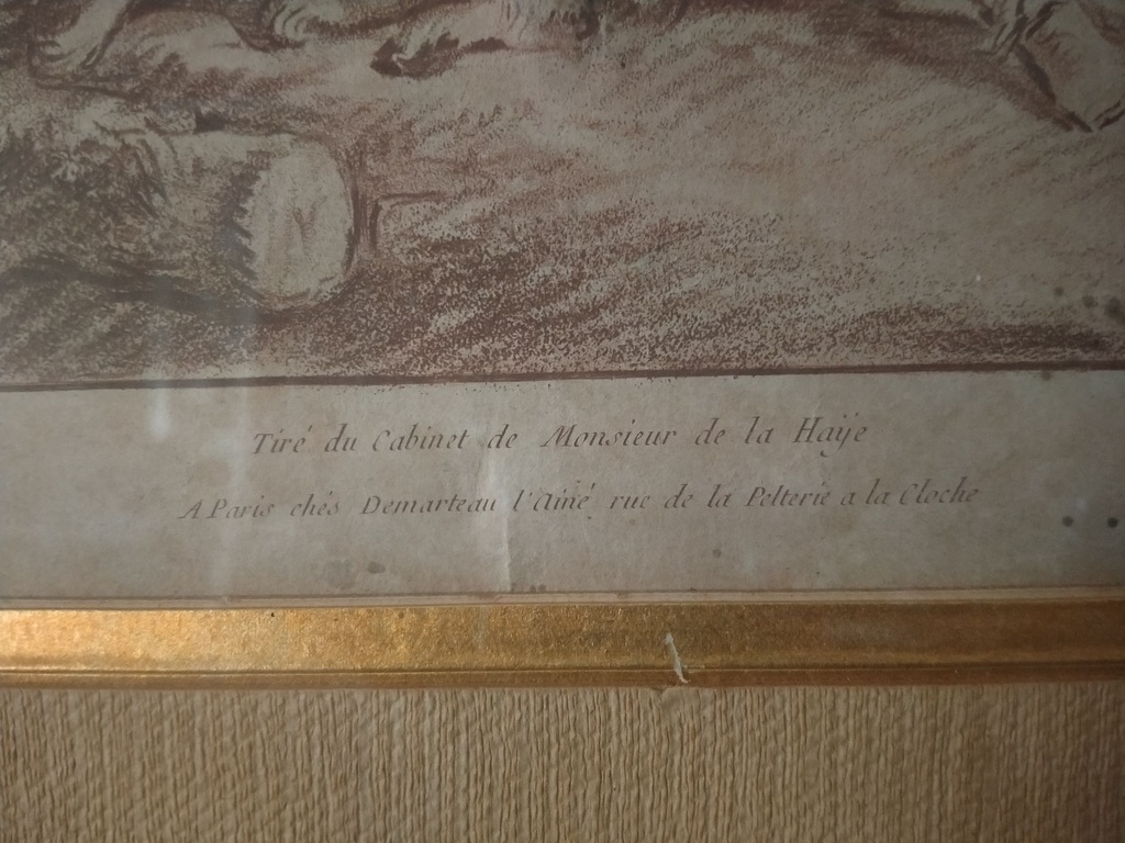 IMG20230613170051.jpg