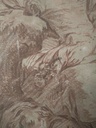 IMG20230613170055.jpg