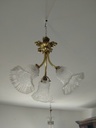 IMG20230711102544.jpg