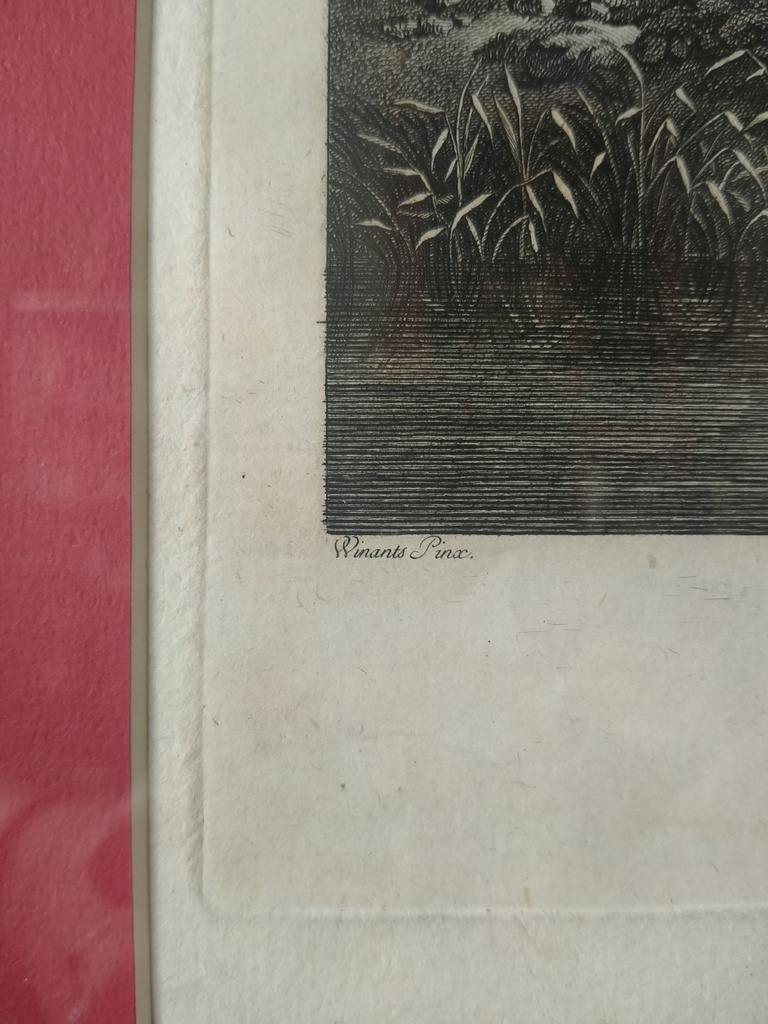 IMG20230719100153.jpg