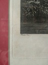 IMG20230719100153.jpg