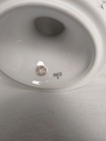 IMG20230725105023.jpg