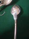 IMG20230920103451.jpg