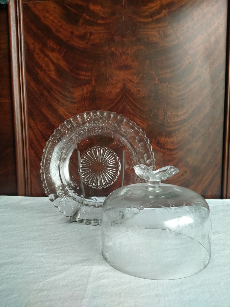 IMG20231031110611.jpg
