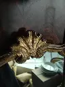 IMG20240311172600.webp