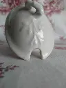 IMG20250131150424.webp