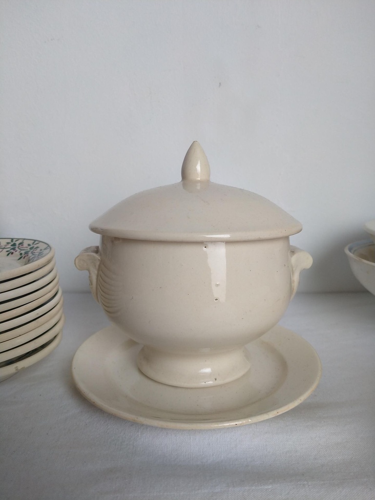 IMG20230525100458.jpg