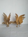 IMG20230525102608.jpg