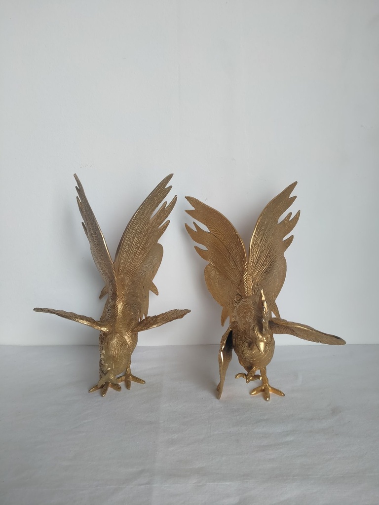 IMG20230525102619.jpg