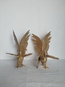 IMG20230525102619.jpg
