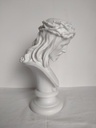 IMG20230515111219.jpg