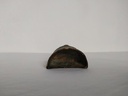 IMG20230515113202.jpg