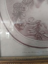 IMG20230609173924.jpg