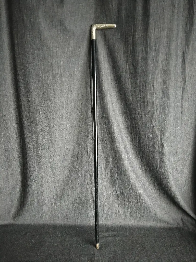 Canne avec pommeau en argent massif à décor de végétations 