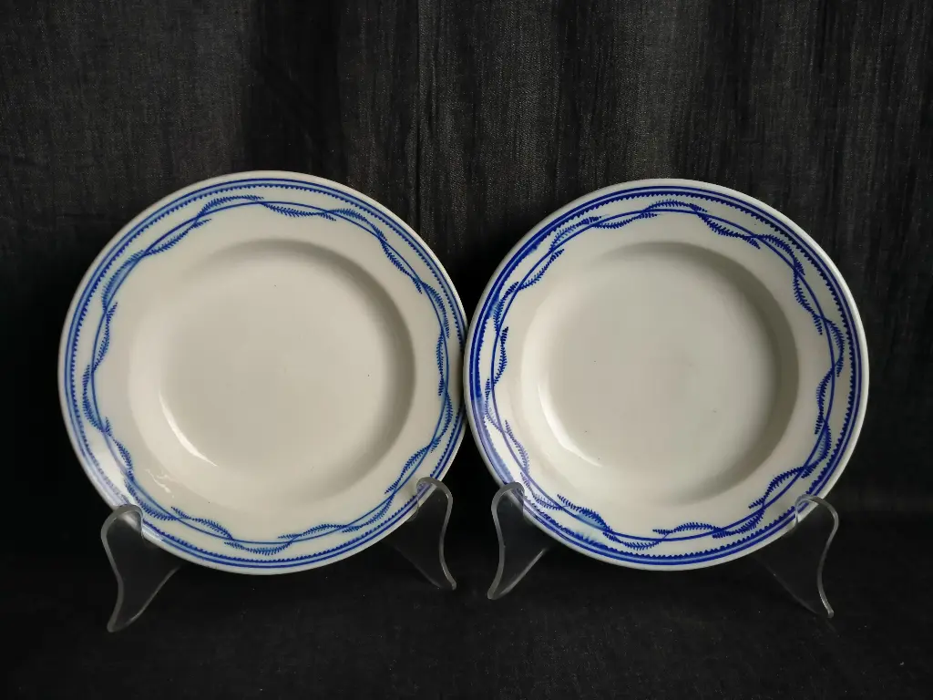 Paire d'assiettes creuses en porcelaine de Tournai décor à la chenille 