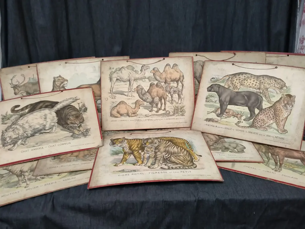 Ensemble de 12 illustrations animalières réalisées par Gostiaux-Phosty issues de la collection de l'imagerie d'Epinal 1902-1905