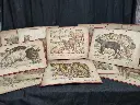 Ensemble de 12 illustrations animalières réalisées par Gostiaux-Phosty issues de la collection de l'imagerie d'Epinal 1902-1905