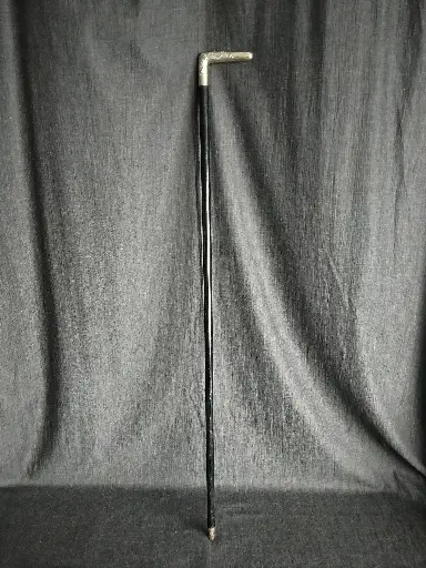 [25084/2] Canne avec pommeau en argent massif à décor de végétations 