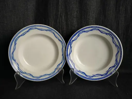 [25028/2] Paire d'assiettes creuses en porcelaine de Tournai décor à la chenille 
