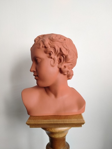 [25076] Buste en terre cuite représentant Éros